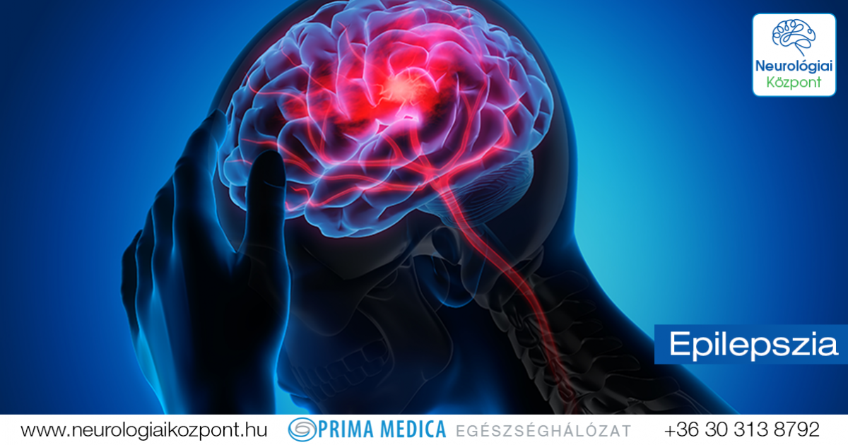 agyi férgek epilepsziában