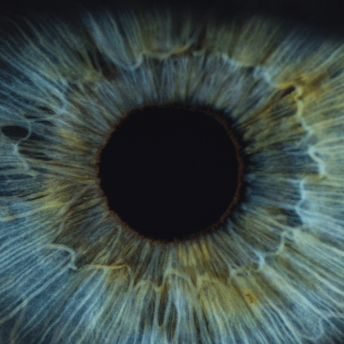 A pupilla jelzései - Neurológiai Központ