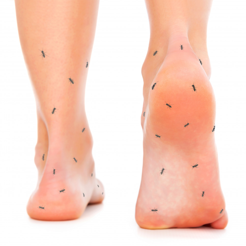 a nagy lábujj ízületeinek betegségei ízületi fájdalom kalcium kimosódás